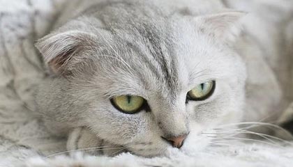 阳江伴游，定制QQ：3494206190微信：act1322